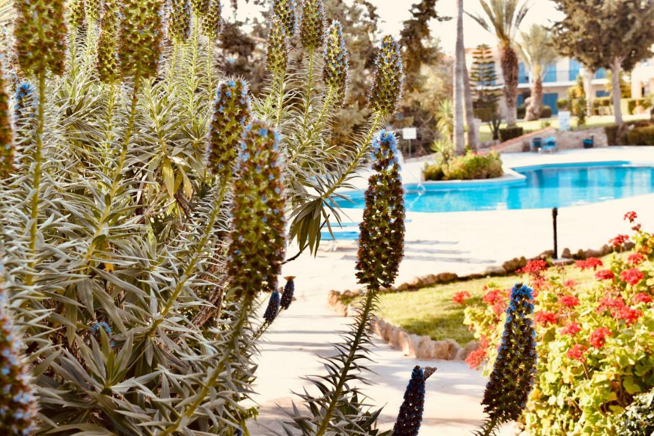 Paradise Gardens Mediterranean Home Paphos Esterno foto