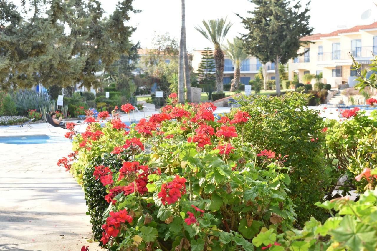 Paradise Gardens Mediterranean Home Paphos Esterno foto